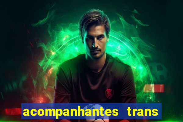 acompanhantes trans baixada fluminense